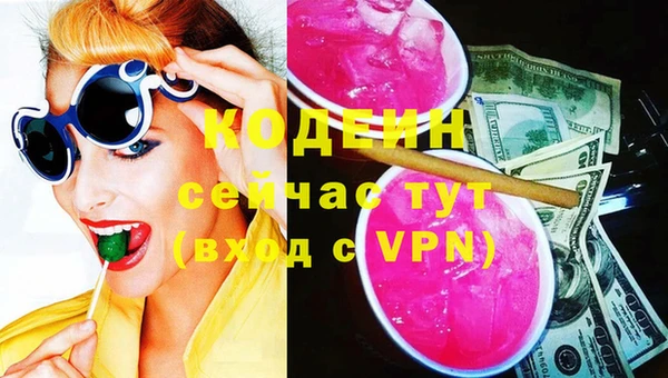 твердый Новодвинск