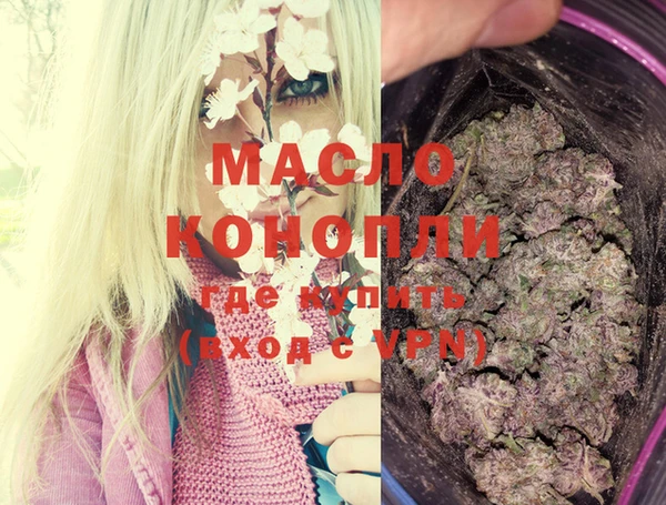 твердый Новодвинск
