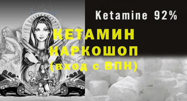 твердый Новодвинск