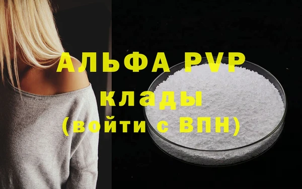 твердый Новодвинск
