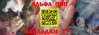 амф Кингисепп