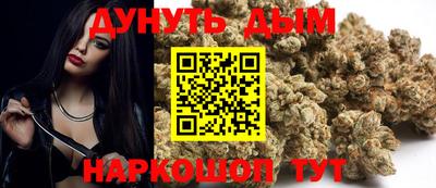 амф Кингисепп