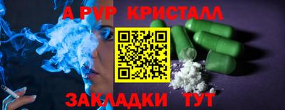 амф Кингисепп